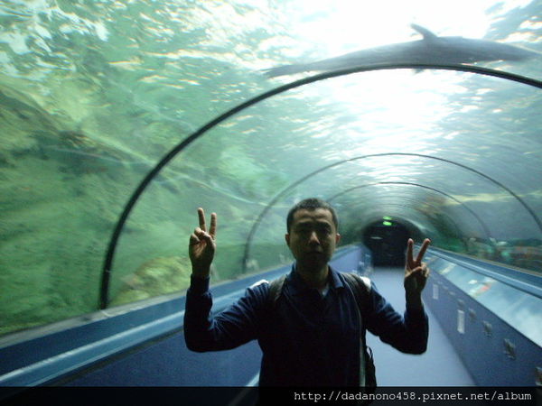 澳洲租車行 :雪梨水族館, bondi,海事博物館,雪梨租車費明細