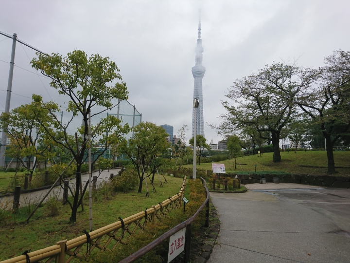 2017斷腿東京自由行第五日(禹田川公園 今取神社 淺草神社  上野動物園， 最終日回程)