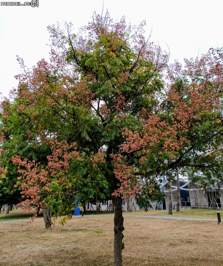 高雄國家體育場 高雄市左營區世運大道 9月30號