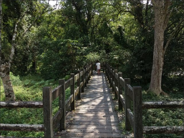 【宜蘭縣員山景點】免費需申請美景如畫的福山植物園