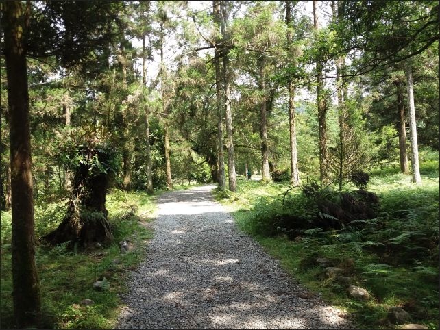 【宜蘭縣員山景點】免費需申請美景如畫的福山植物園