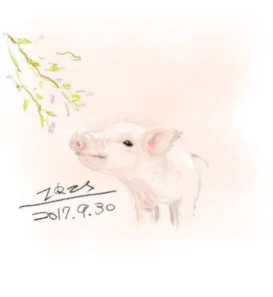 Note8畫畫作品分享樓~