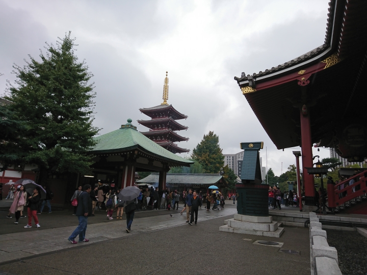 2017斷腿東京自由行第五日(禹田川公園 今取神社 淺草神社  上野動物園， 最終日回程)