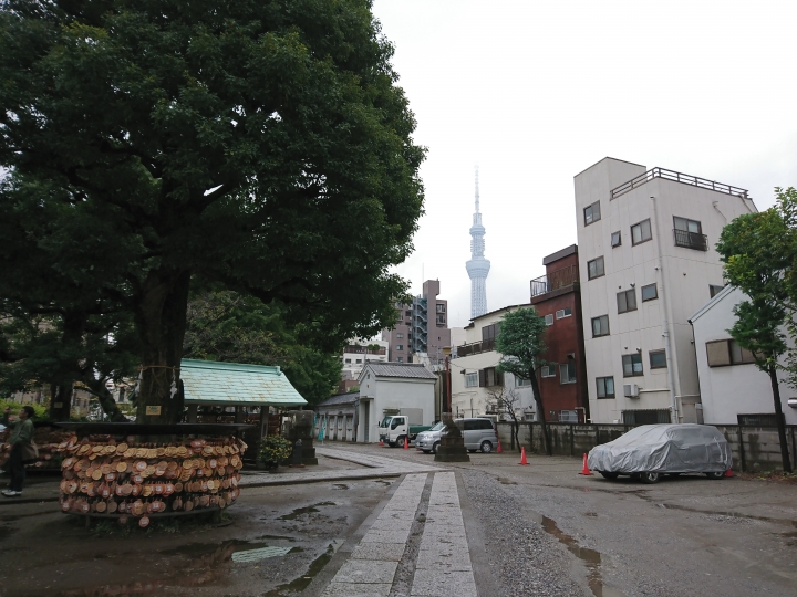 2017斷腿東京自由行第五日(禹田川公園 今取神社 淺草神社  上野動物園， 最終日回程)
