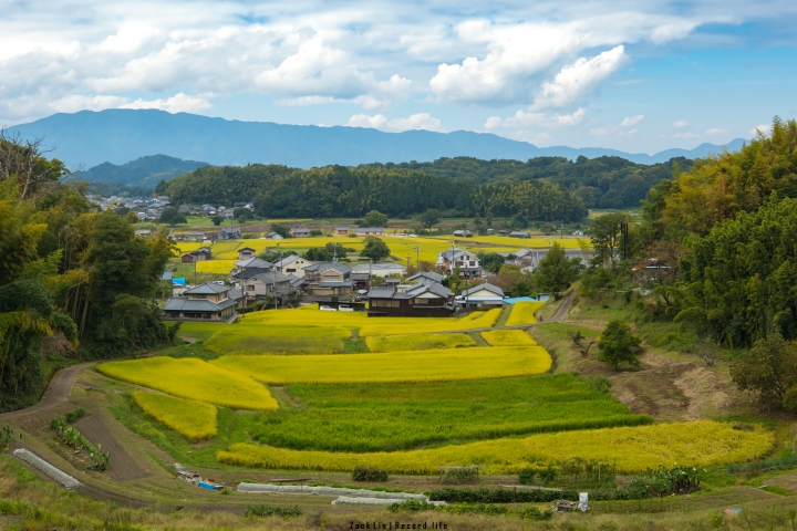 [分享] 與5D4享受7天的日本奈良京都大阪之旅 圖非常多 謝謝欣賞
