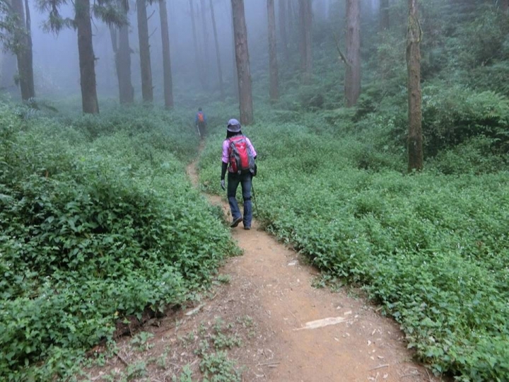 1061023 忘憂森林 金柑樹山 嶺頭山環線縱走