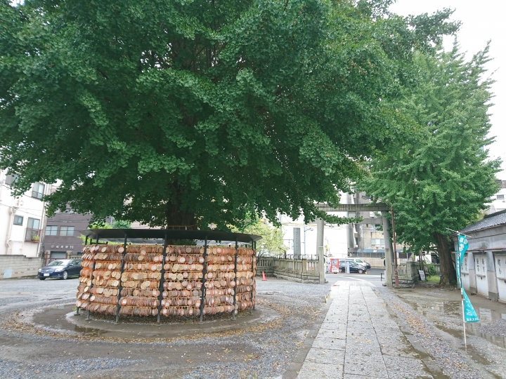 2017斷腿東京自由行第五日(禹田川公園 今取神社 淺草神社  上野動物園， 最終日回程)