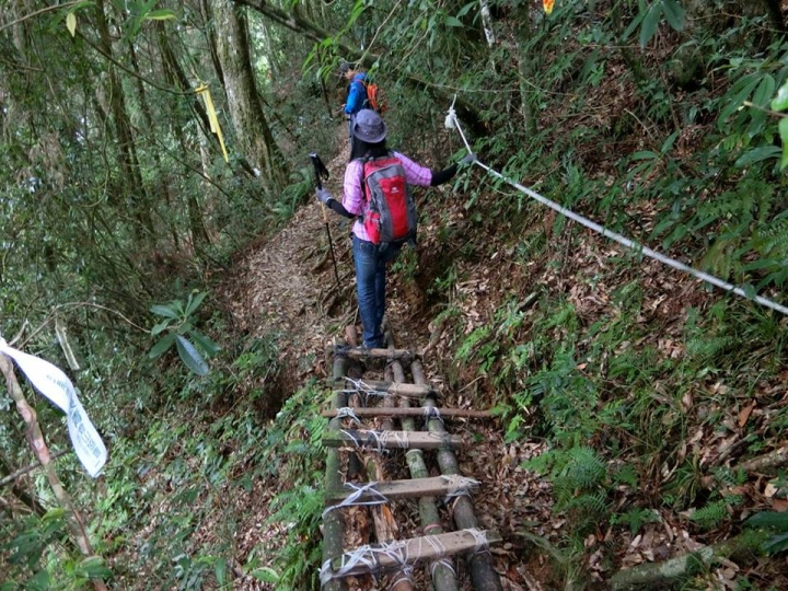 1061023 忘憂森林 金柑樹山 嶺頭山環線縱走