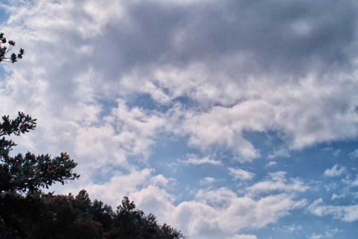 大姑媽(Takumar)50mm f1.4實拍