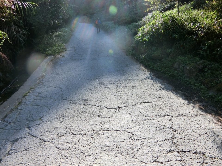 1061023 忘憂森林 金柑樹山 嶺頭山環線縱走