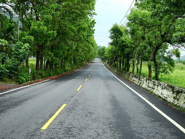 Nikon P900の路！