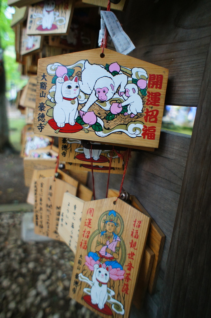 【玩】 日本 東京/世田谷 豪徳寺 - 招財貓起源地