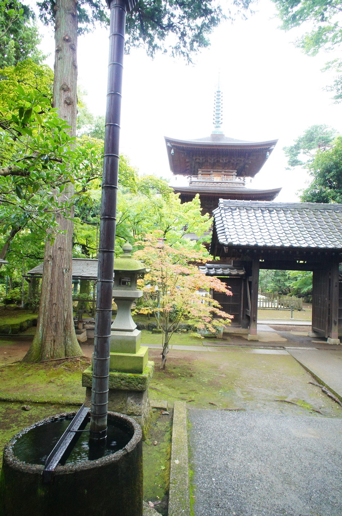 【玩】 日本 東京/世田谷 豪徳寺 - 招財貓起源地