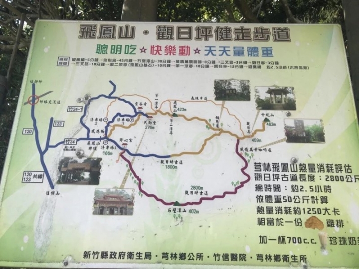 登飛鳳山時看到有人在砍樹，有關這樣的行為是可合法的嗎？