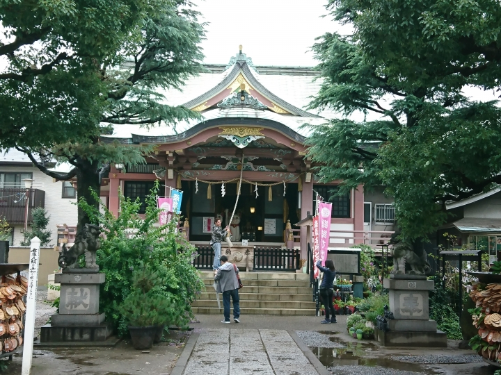 2017斷腿東京自由行第五日(禹田川公園 今取神社 淺草神社  上野動物園， 最終日回程)