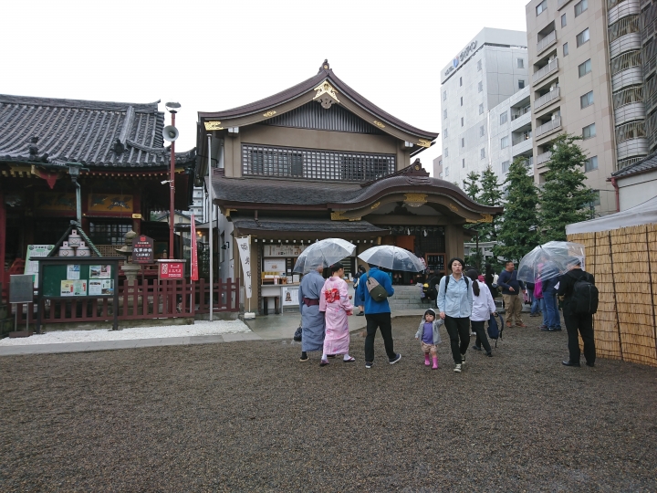 2017斷腿東京自由行第五日(禹田川公園 今取神社 淺草神社  上野動物園， 最終日回程)