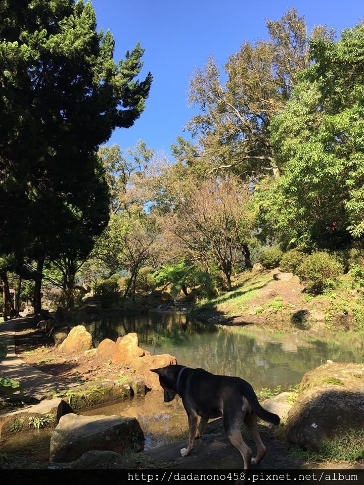 陽明山親子遊:硫磺谷/花鐘/涓絲瀑布