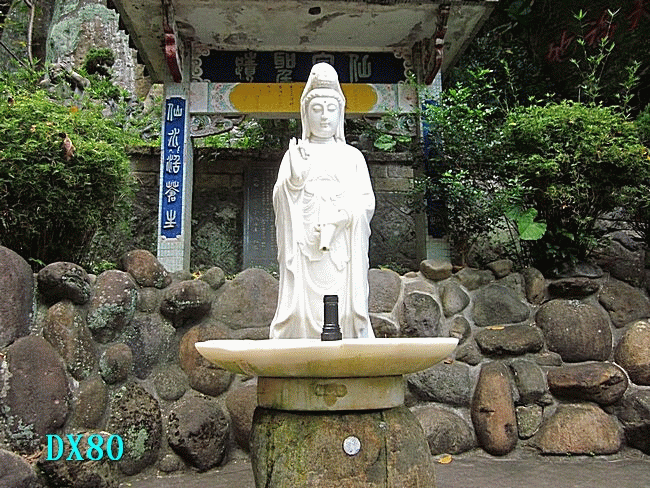 太陽的後裔 DX80 ( 32000流明 )