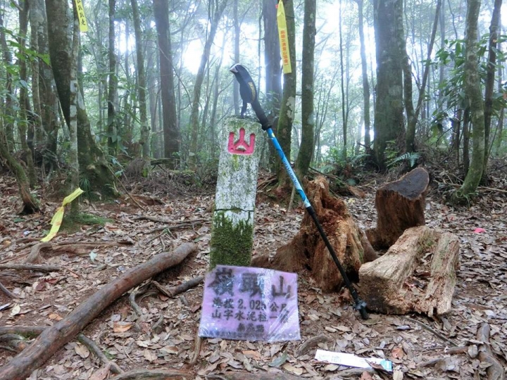 1061023 忘憂森林 金柑樹山 嶺頭山環線縱走