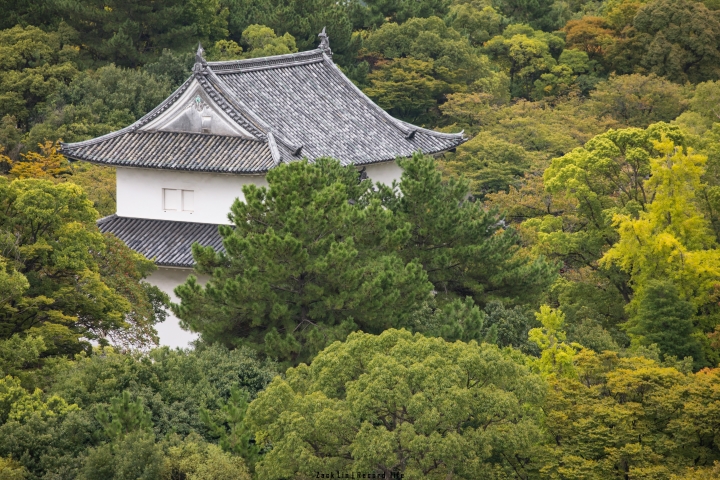[分享] 與5D4享受7天的日本奈良京都大阪之旅 圖非常多 謝謝欣賞