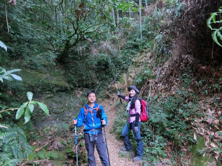 1061023 忘憂森林 金柑樹山 嶺頭山環線縱走