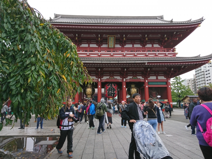 2017斷腿東京自由行第五日(禹田川公園 今取神社 淺草神社  上野動物園， 最終日回程)