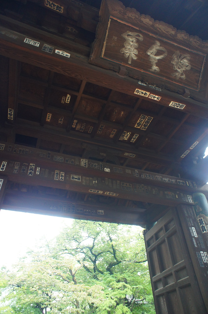 【玩】 日本 東京/世田谷 豪徳寺 - 招財貓起源地