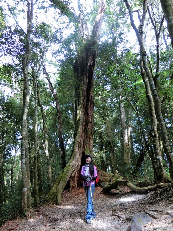 1061023 忘憂森林 金柑樹山 嶺頭山環線縱走