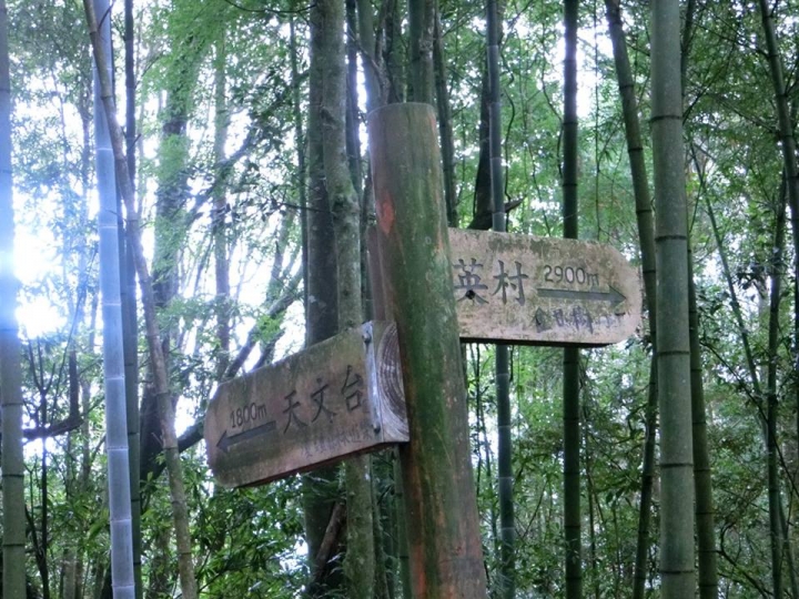 1061023 忘憂森林 金柑樹山 嶺頭山環線縱走