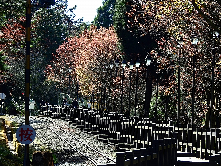Nikon P900の路！