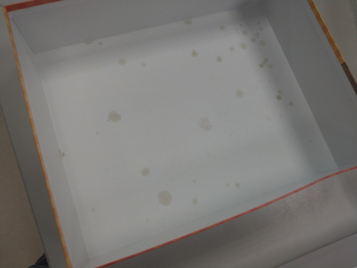 盒內部長了一點一點、斑狀的臟汙