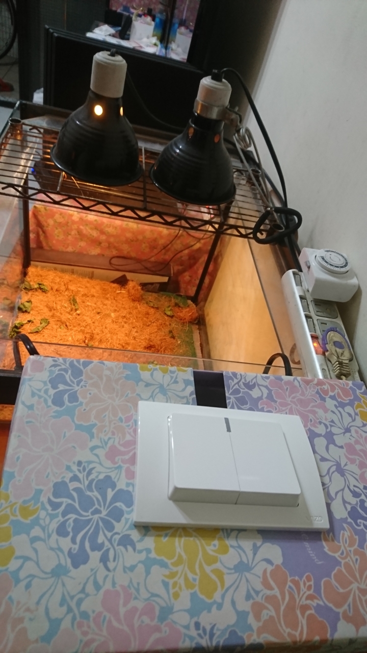 [開箱分享]WISCON威力控智慧開關
