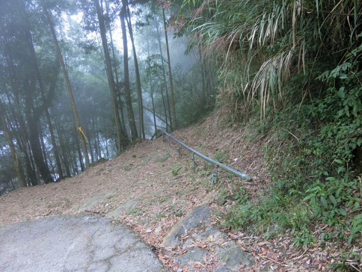 1061023 忘憂森林 金柑樹山 嶺頭山環線縱走