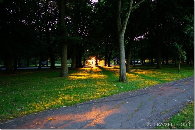 【倫敦‧景點】櫻草丘 Primrose Hill:一眼收盡倫敦天際線的完美日落景點(影片)