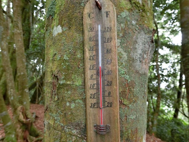 1061023 忘憂森林 金柑樹山 嶺頭山環線縱走