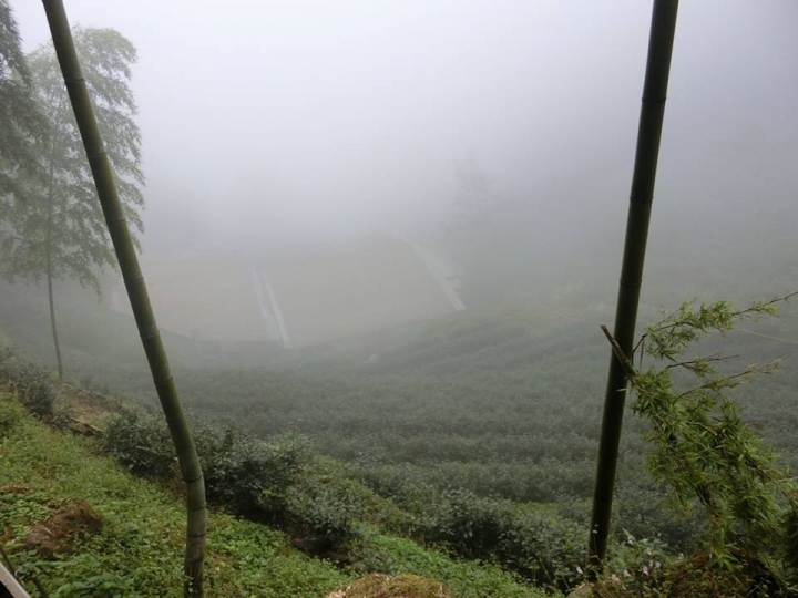 1061023 忘憂森林 金柑樹山 嶺頭山環線縱走