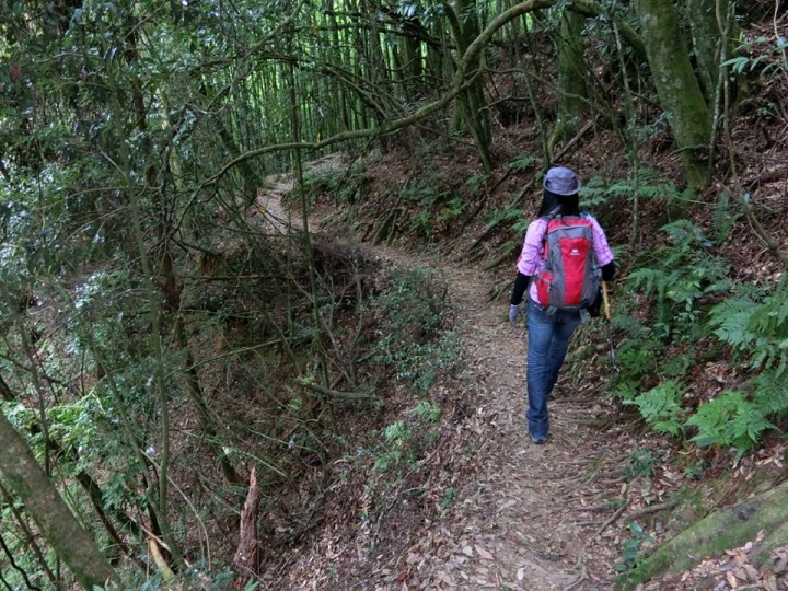 1061023 忘憂森林 金柑樹山 嶺頭山環線縱走