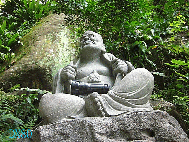太陽的後裔 DX80 ( 32000流明 )