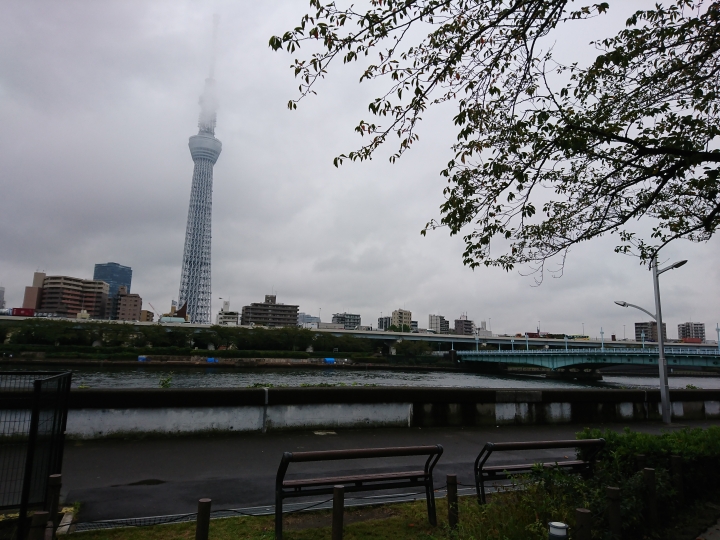 2017斷腿東京自由行第五日(禹田川公園 今取神社 淺草神社  上野動物園， 最終日回程)