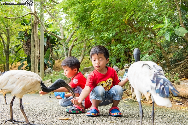 [D750]沖繩親子旅遊-雙胞胎第一次出國(圖多及後製)