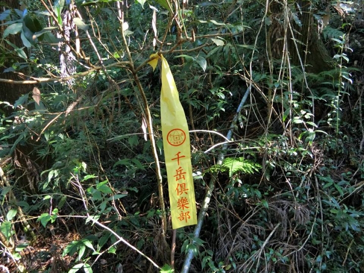 1061023 忘憂森林 金柑樹山 嶺頭山環線縱走