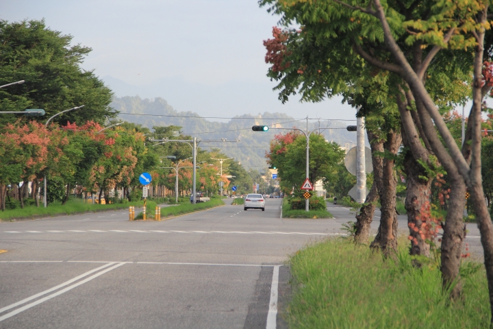 我與阿肥的戀戀花東四日行