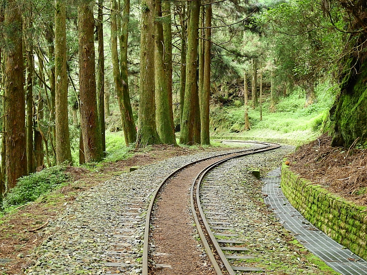 Nikon P900の路！