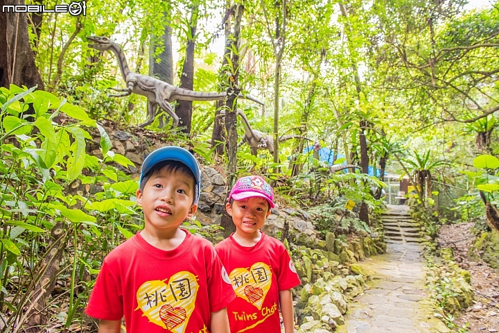 [D750]沖繩親子旅遊-雙胞胎第一次出國(圖多及後製)