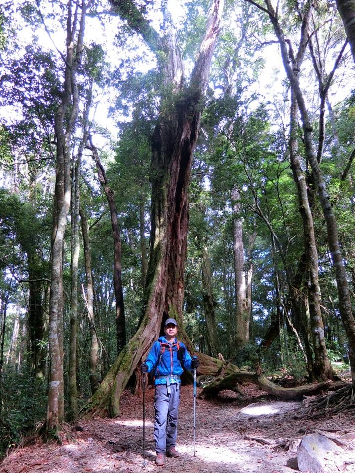 1061023 忘憂森林 金柑樹山 嶺頭山環線縱走