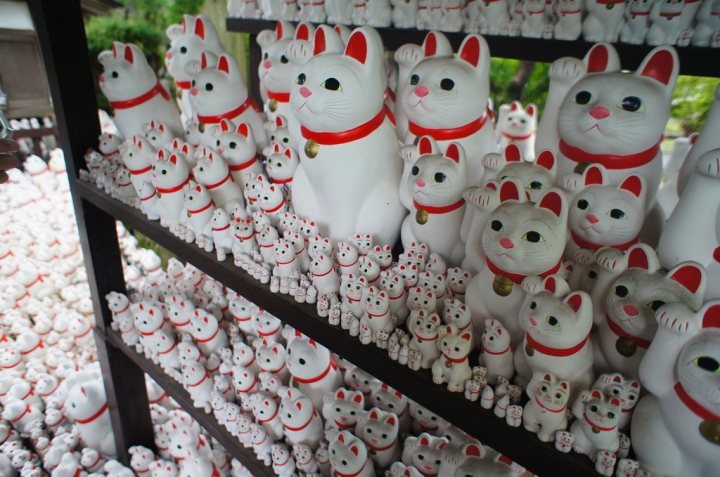 【玩】 日本 東京/世田谷 豪徳寺 - 招財貓起源地