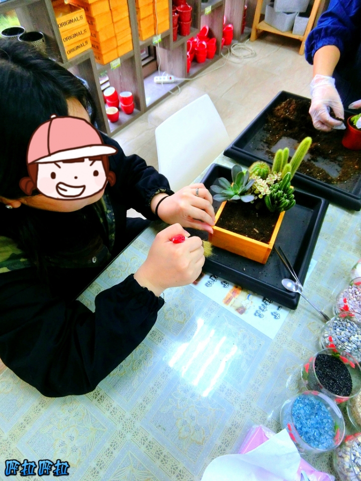 [宜蘭景點]多肉王國-哥插的不是花，是遠離塵囂的浪漫(近羅東夜市、室內景點)