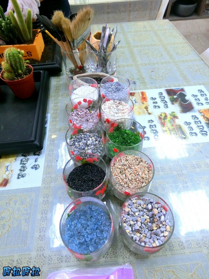 [宜蘭景點]多肉王國-哥插的不是花，是遠離塵囂的浪漫(近羅東夜市、室內景點)