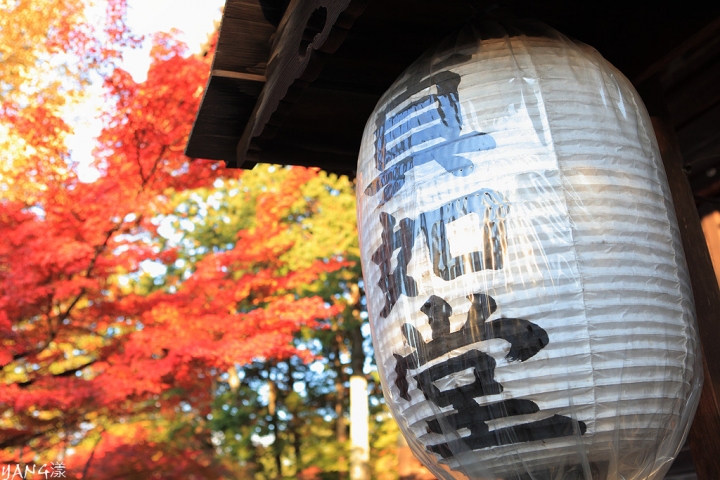 【京都】真如堂（真正極楽寺），京都賞紅葉的免費好景點