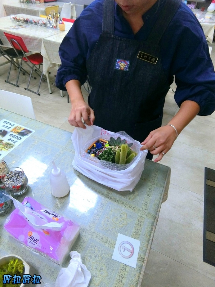 [宜蘭景點]多肉王國-哥插的不是花，是遠離塵囂的浪漫(近羅東夜市、室內景點)